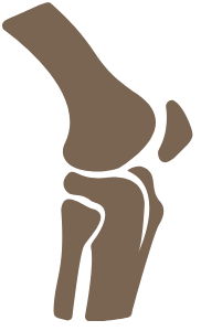 Knee<br>Preservation